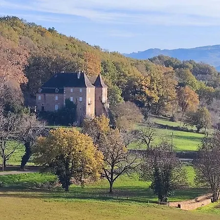 Manoir Du Boscau, Louis IX Apartment Prudhomat Exterior photo